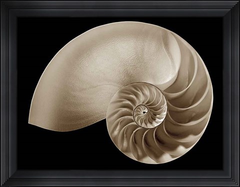 Framed Ocean Keepsake II Print