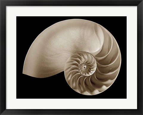 Framed Ocean Keepsake II Print