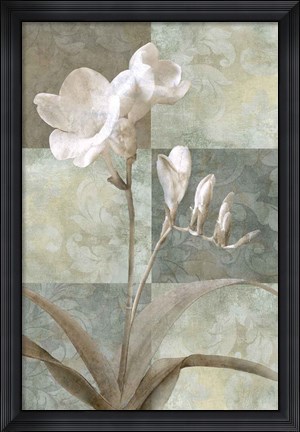 Framed Memento I Print