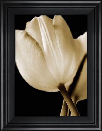 Framed Radiance I Print