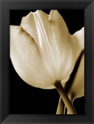 Framed Radiance I Print