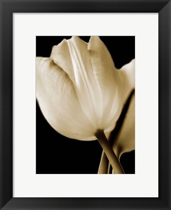 Framed Radiance I Print