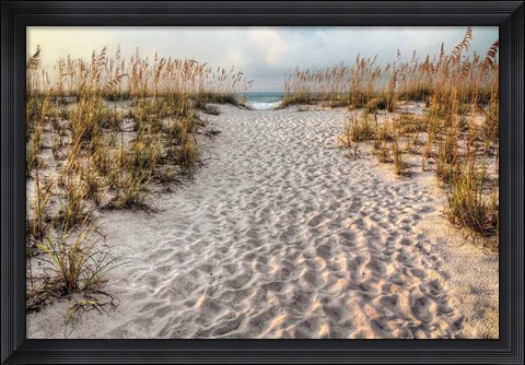Framed Path To The Beach Print