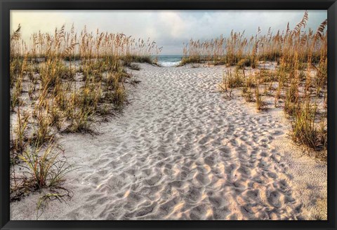 Framed Path To The Beach Print