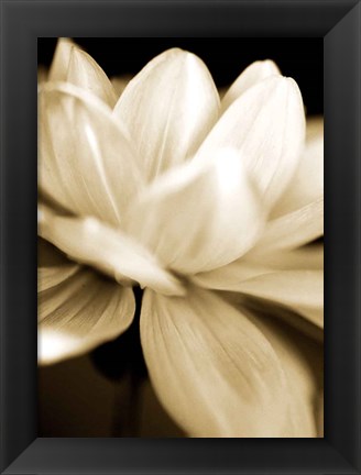 Framed Radiance II Print