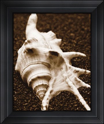 Framed Sea Gallery I Print