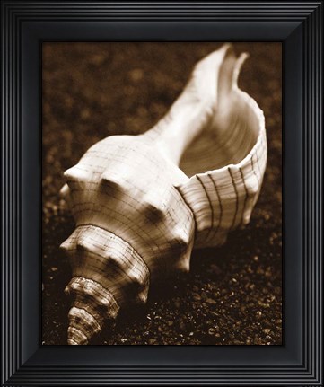 Framed Sea Gallery III Print