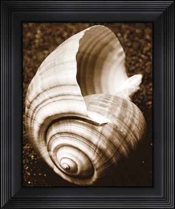 Framed Sea Gallery IV Print
