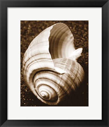 Framed Sea Gallery IV Print