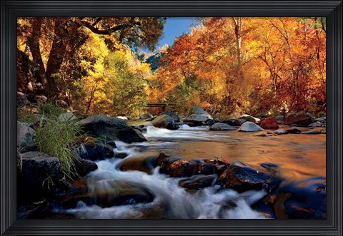 Framed River Of Gold Print