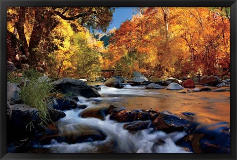 Framed River Of Gold Print