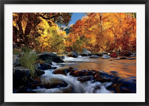 Framed River Of Gold Print