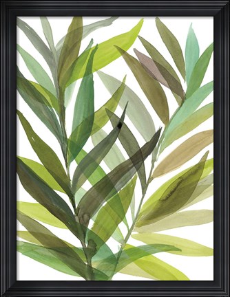 Framed Tropical Greens I Print