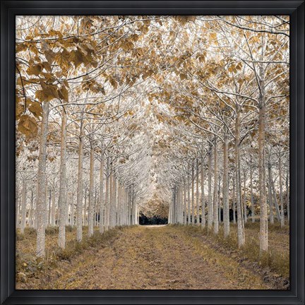 Framed White Gold Print