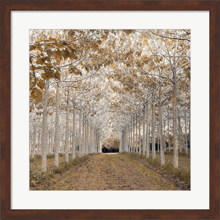 Framed White Gold Print