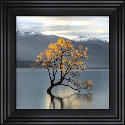 Framed Undisturbed (detail) Print