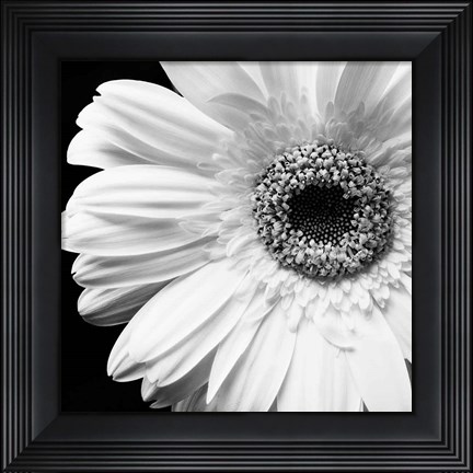 Framed Sunburst I Print