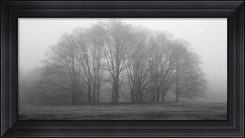 Framed Gathering Trees Print
