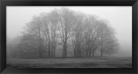 Framed Gathering Trees Print