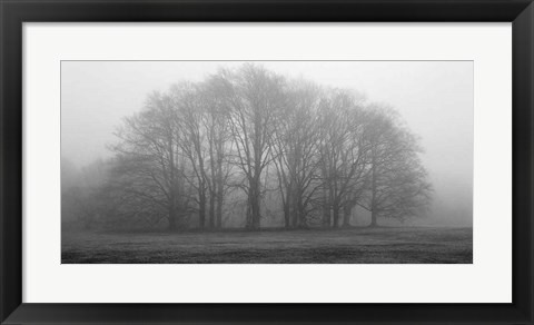 Framed Gathering Trees Print