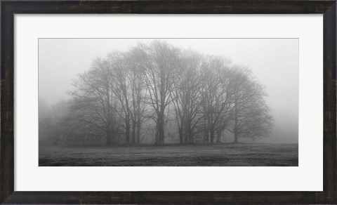 Framed Gathering Trees Print