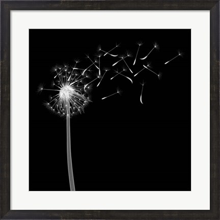 Framed Into the Night II Print