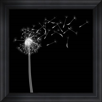 Framed Into the Night II Print