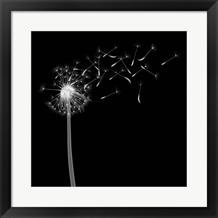 Framed Into the Night II Print