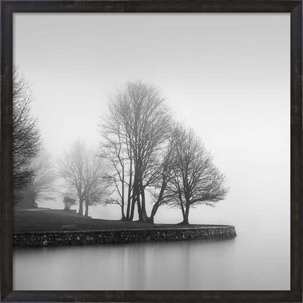 Framed Fog and Trees at Dusk Print