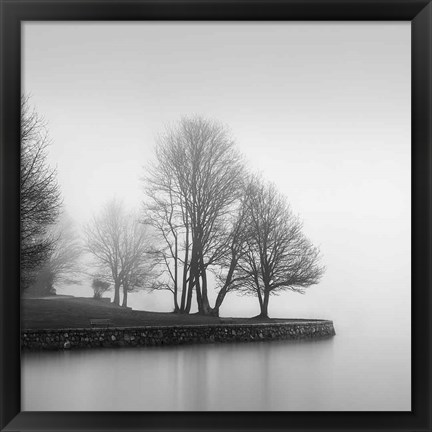 Framed Fog and Trees at Dusk Print