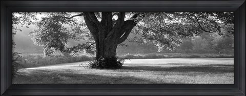 Framed Ascendancy Print