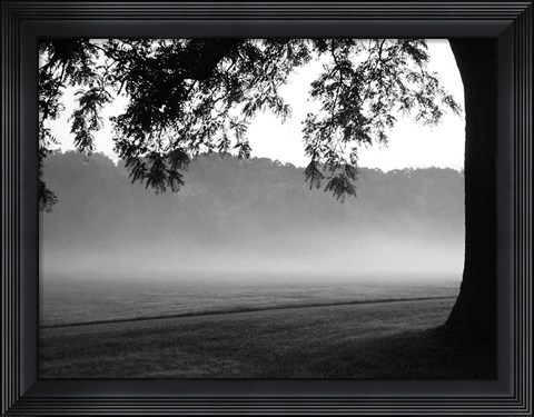 Framed Fog in the Park I Print