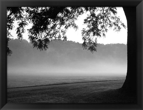 Framed Fog in the Park I Print