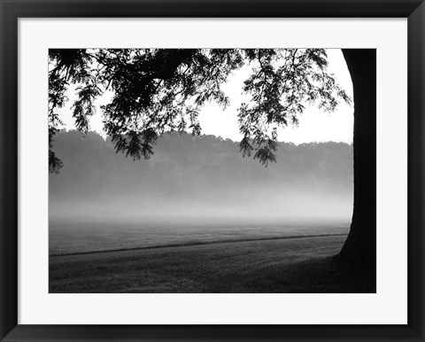 Framed Fog in the Park I Print