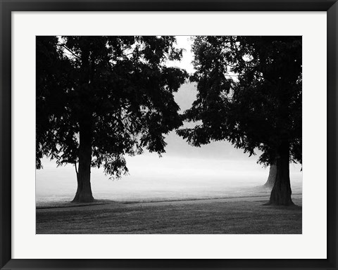 Framed Fog in the Park II Print