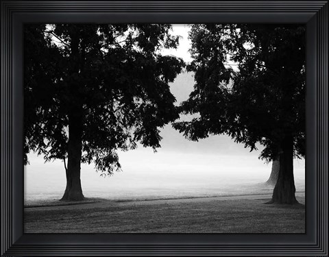 Framed Fog in the Park II Print