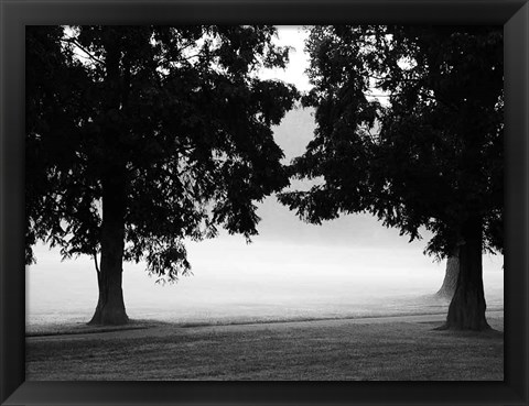 Framed Fog in the Park II Print