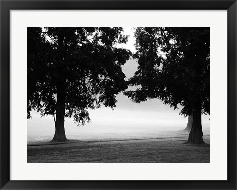 Framed Fog in the Park II Print