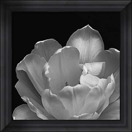 Framed Summer&#39;s Comfort Print