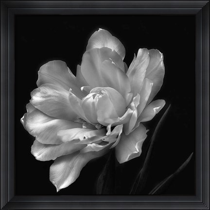 Framed Summer&#39;s Surprise Print