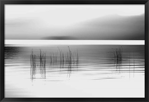 Framed Tranquil Dawn Print