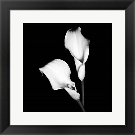 Framed Calla Portrait I Print