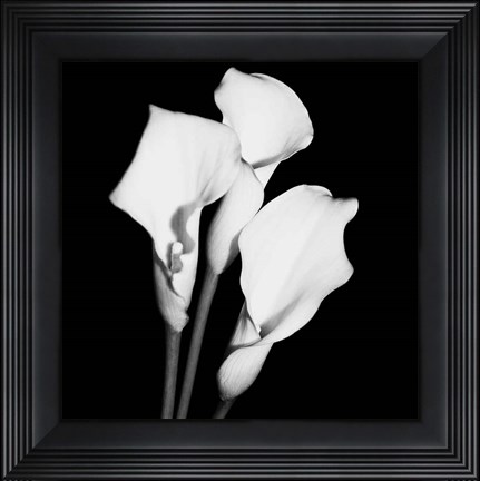 Framed Calla Portrait II Print