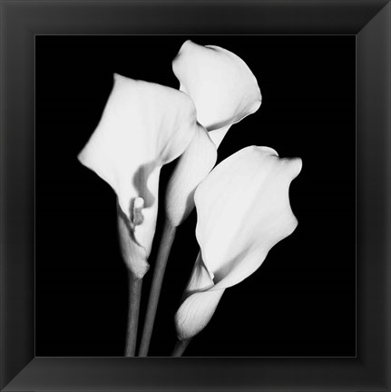 Framed Calla Portrait II Print