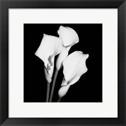 Framed Calla Portrait II Print