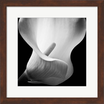Framed Softness I Print