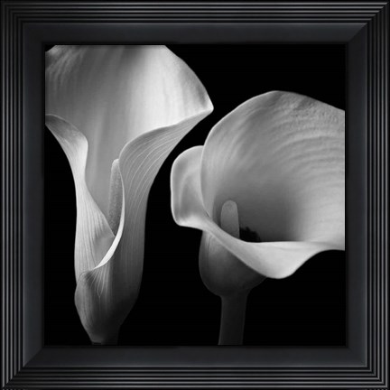 Framed Softness II Print