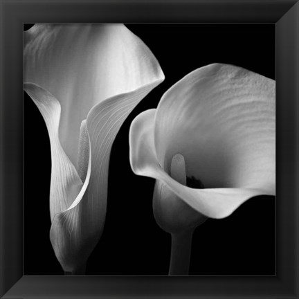 Framed Softness II Print
