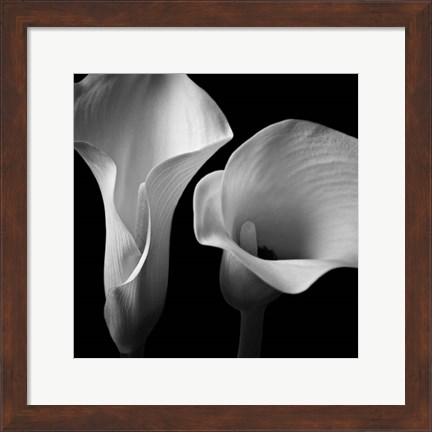 Framed Softness II Print