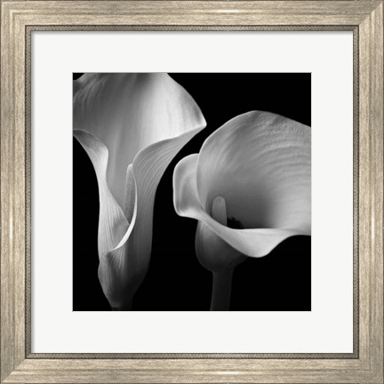 Framed Softness II Print